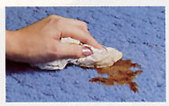 Carpet Stain Protection Santa Barbara, Carpet Stain Protection Goleta, Carpet Stain Protection Carpinteria 