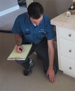 Carpet Cleaning Inspection